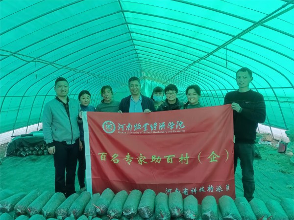 m88官网