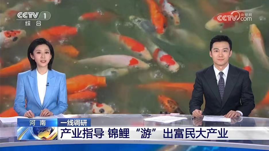 m88官网