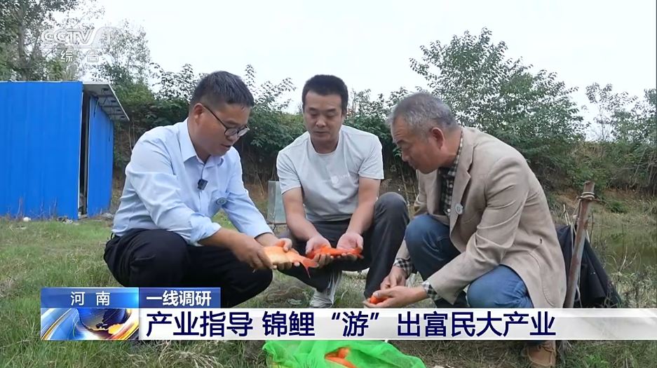 m88官网