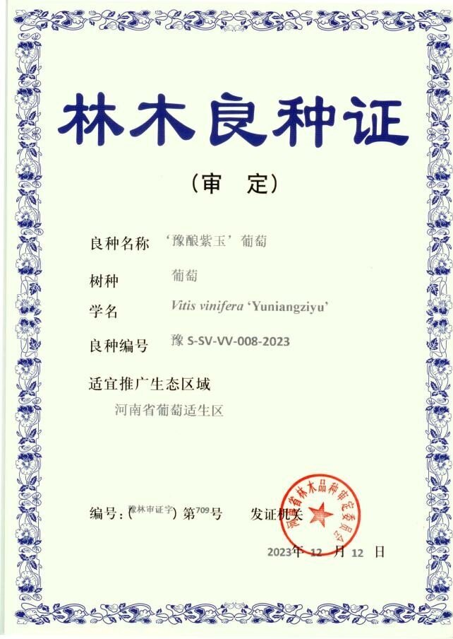 m88官网